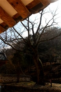 IMG_0254