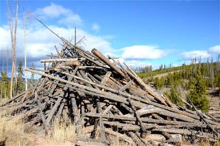 WoodPile-Unknown-001 photo