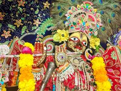 Shri Damodar ji Maharaj : Шри Дамодар джи Махарадж