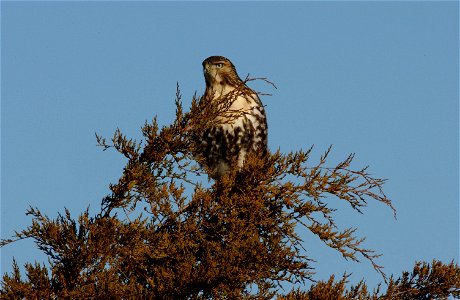 03WS0021_0518