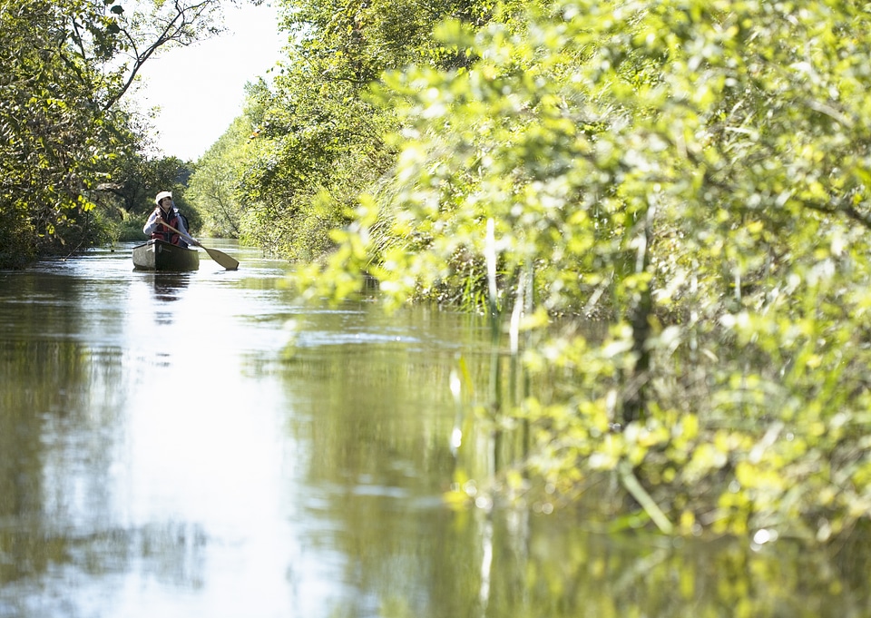 Woman paddling a boat carry tourist in the flooded forest