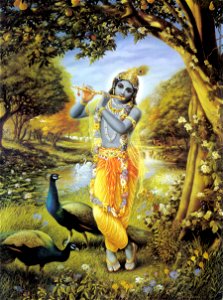 Krishna-lila 041