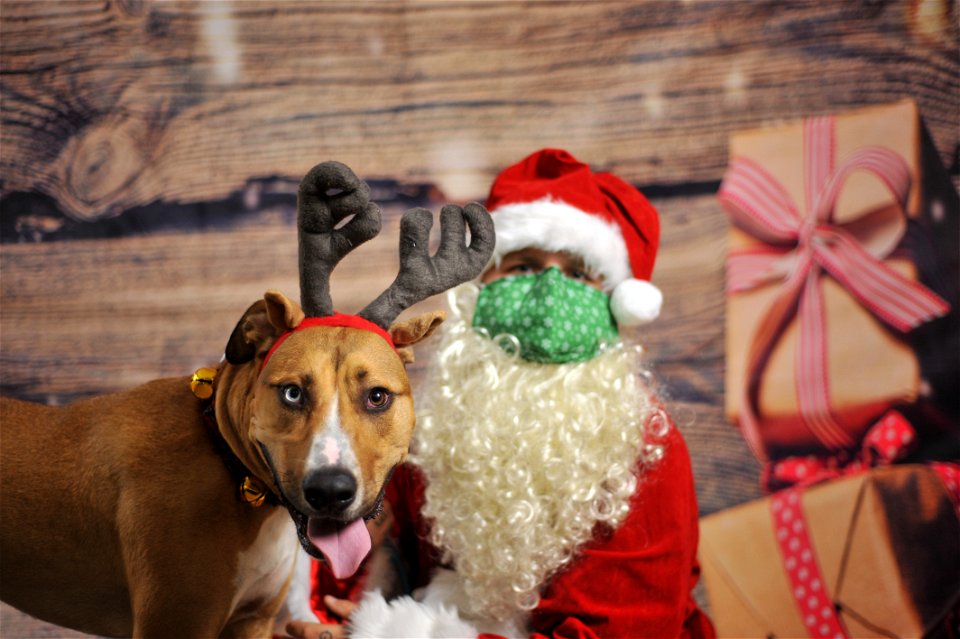 City of Elderly Love Claus for Paws Fundraiser