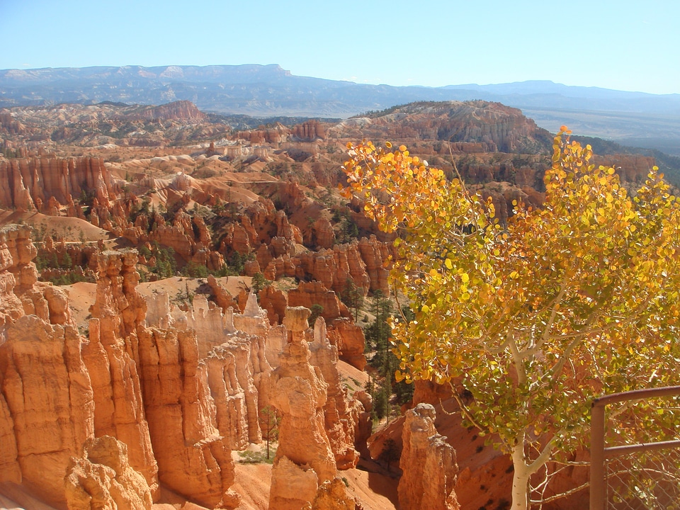 Hoodos of Queens Stone Garden, Bryce Canyon National Park, Utah photo