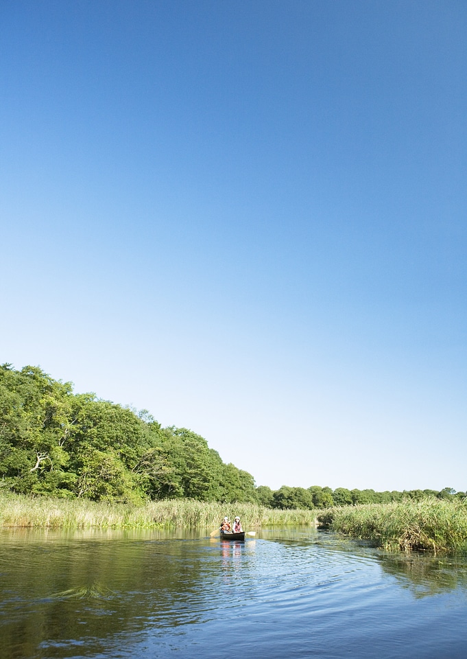 Woman paddling a boat carry tourist in the flooded forest