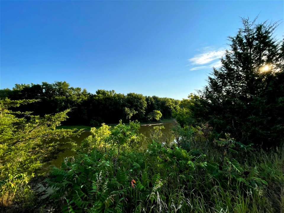 Park near Crow Wing River MN 2022 Aug