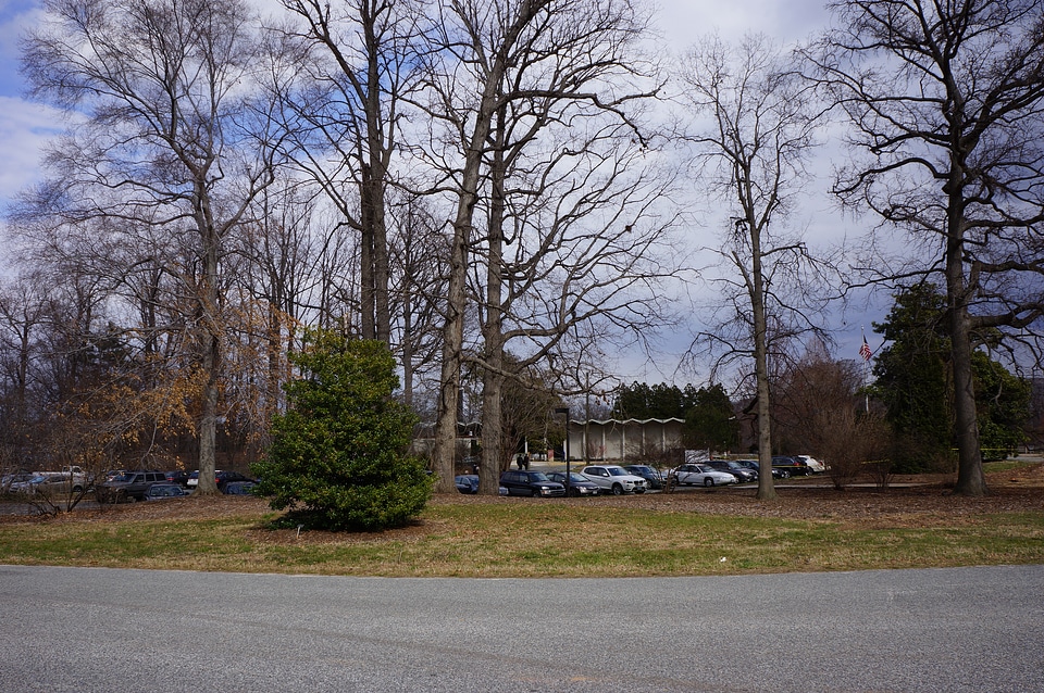Arboretum and Gardens