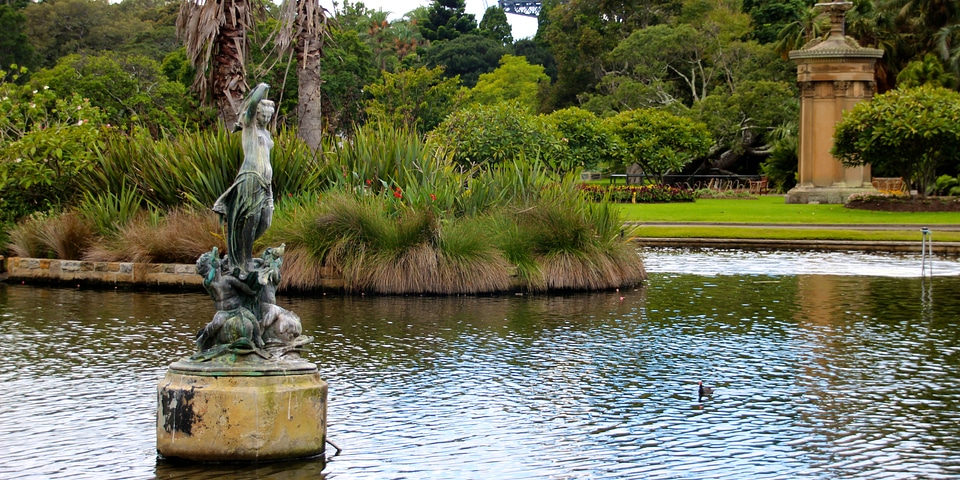 Sydney Royal Botanic Gardens