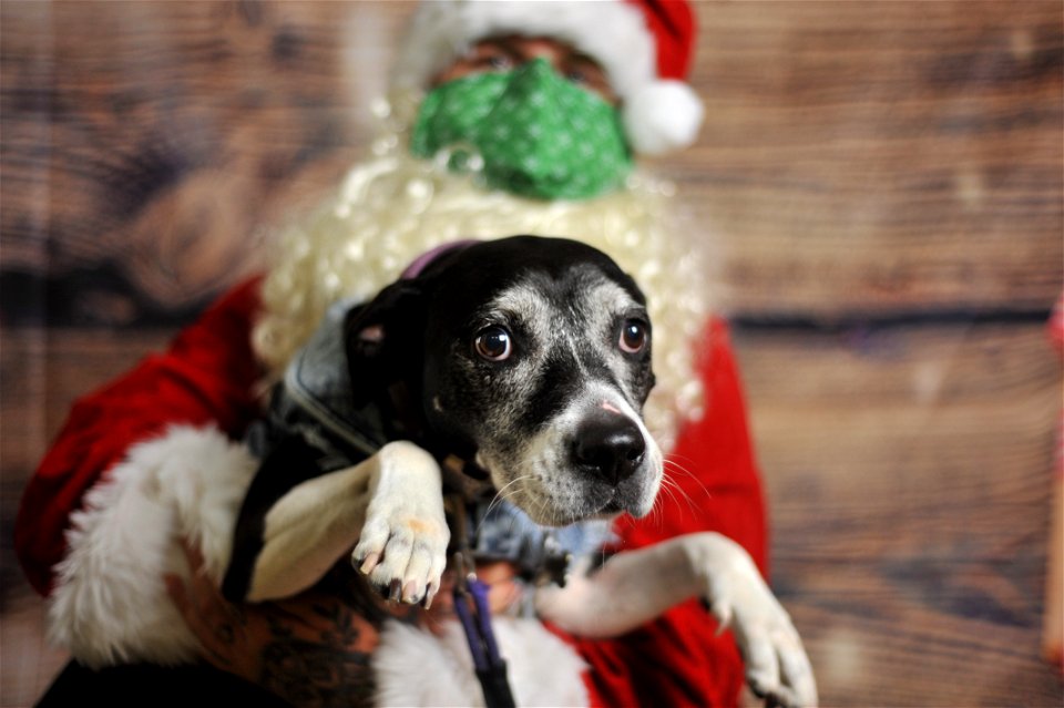 City of Elderly Love Claus for Paws Fundraiser
