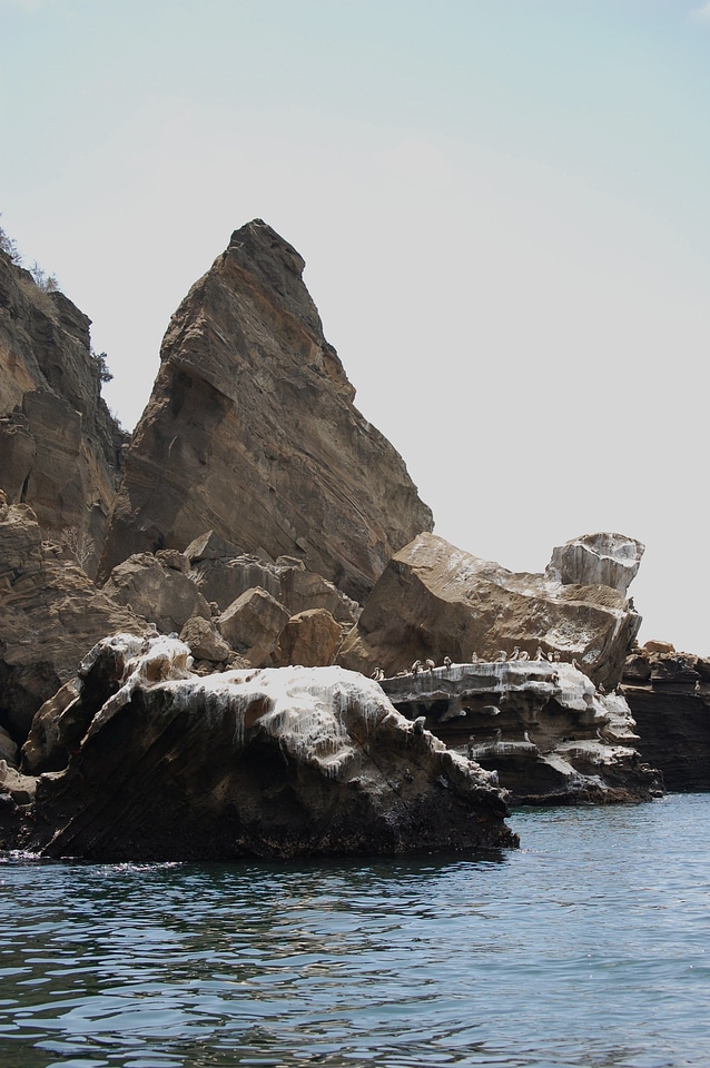 Bird paint on volcanic rocks Galapagos Islands Ecuador