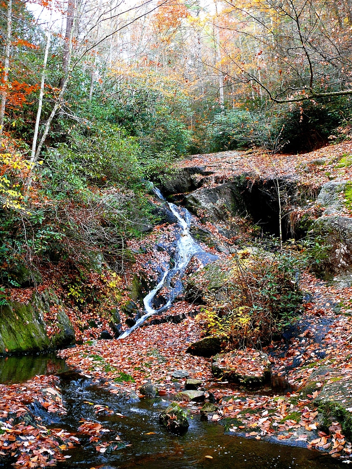 Waterfall on Griffith Branch