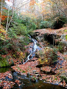 Waterfall on Griffith Branch