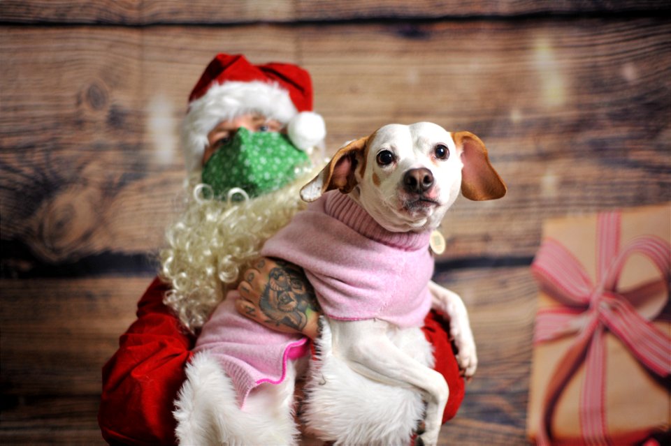 City of Elderly Love Claus for Paws Fundraiser