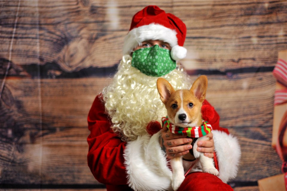 City of Elderly Love Claus for Paws Fundraiser