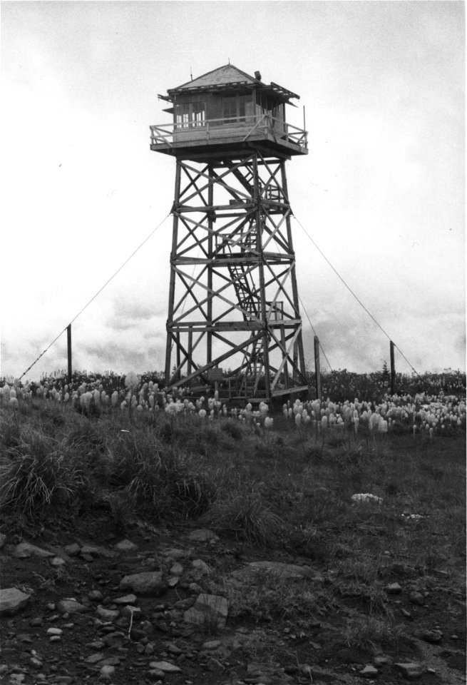 Hickman Butte