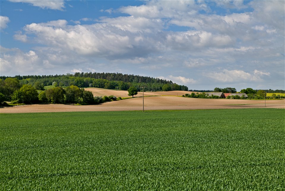 LSG Norduckermärkische Seenlandschaft 10