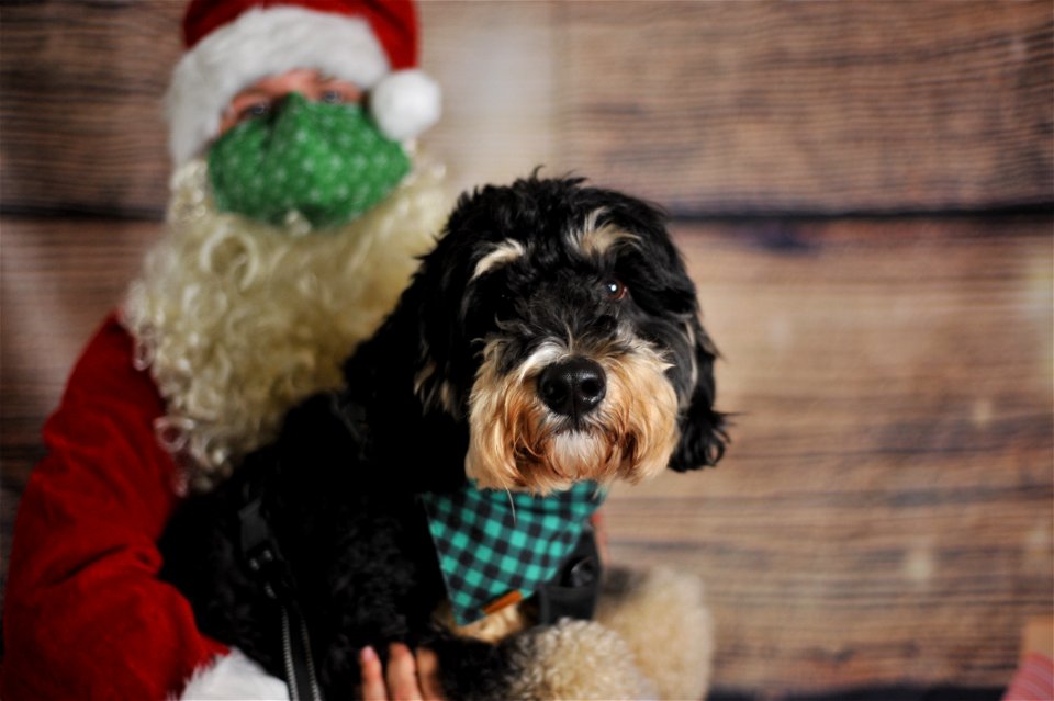 City of Elderly Love Claus for Paws Fundraiser