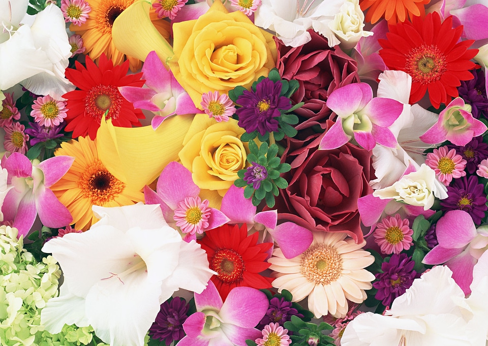 A spring primrose is in a bouquet, floral background