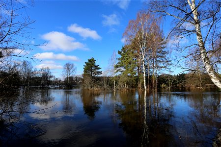 Spring flood