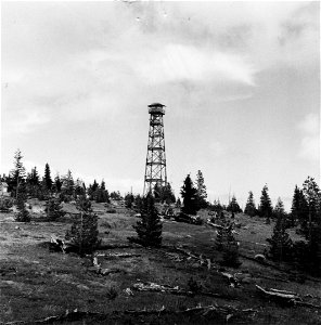 Grasshopper Point, 1963