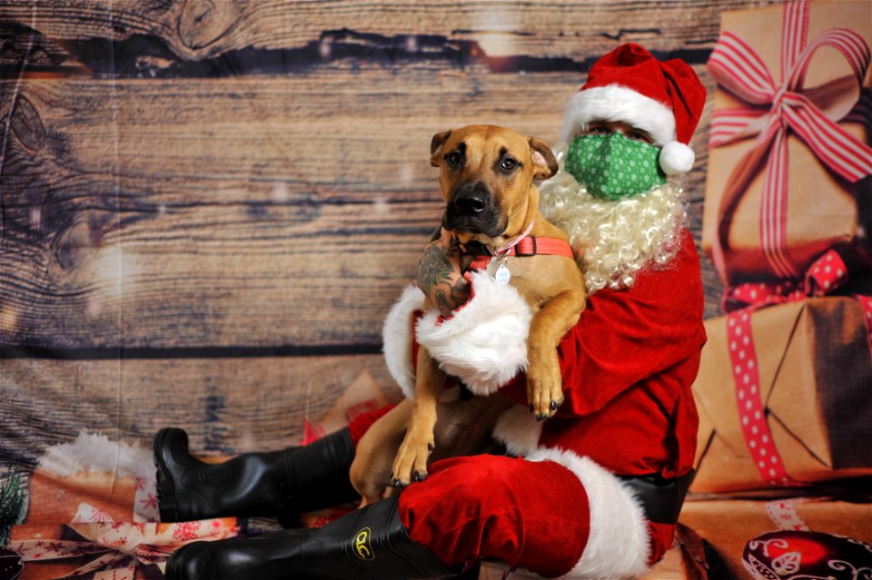 City of Elderly Love Claus for Paws Fundraiser