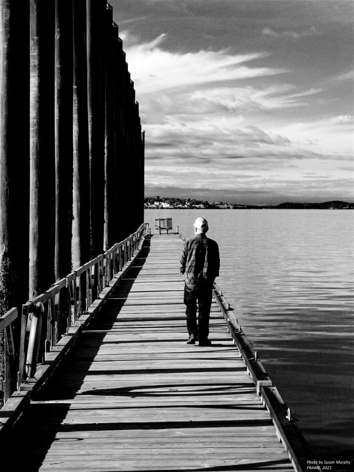 Susan Murphy, Photographer