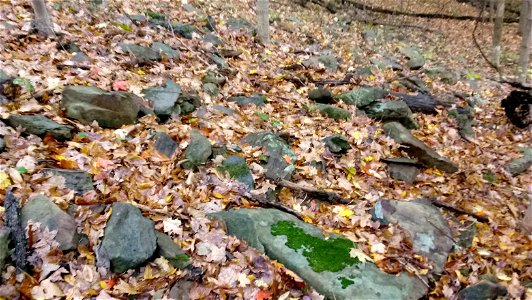 20171025_103941(1)