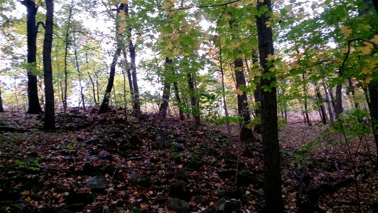 20171025_104131(1)