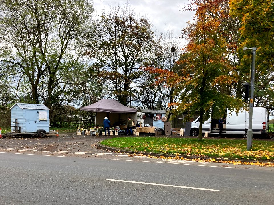 Daisy Daisy Flowers, The Village, Flixton, Urmston