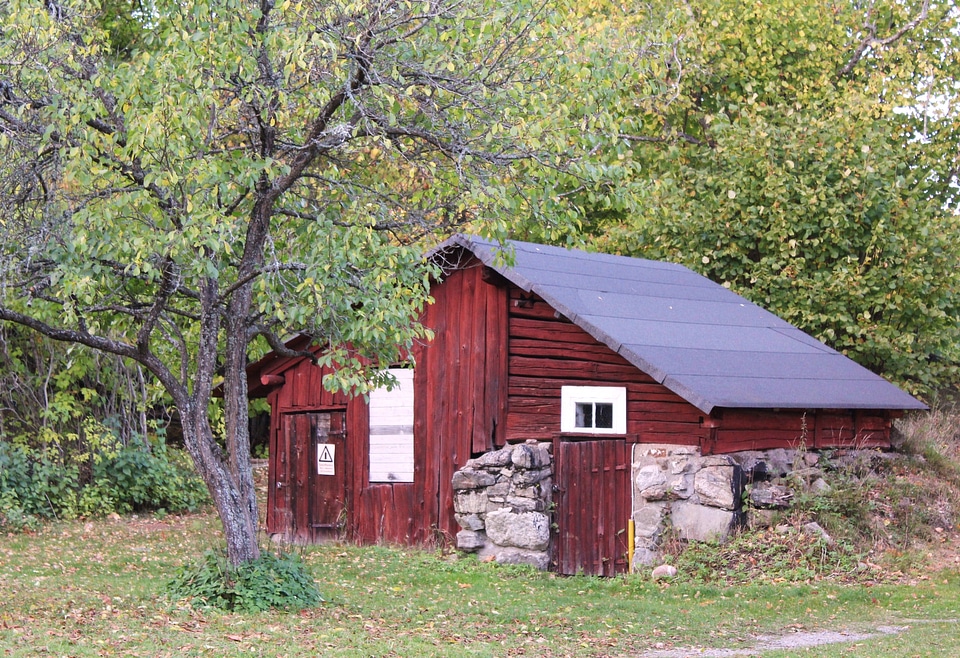 Log cabin surrounded by the forest photo