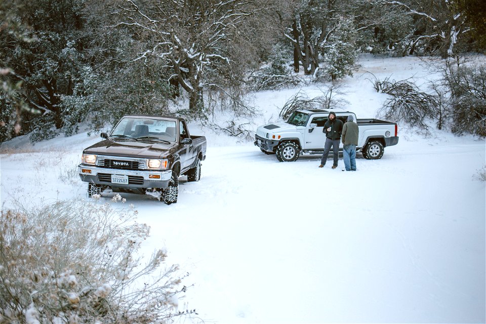 Winter Wonderland