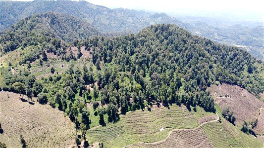SEIARN_SEIF_DSIA_FERNANDO_VALDEZ_CALDERÓN_DJI_0252