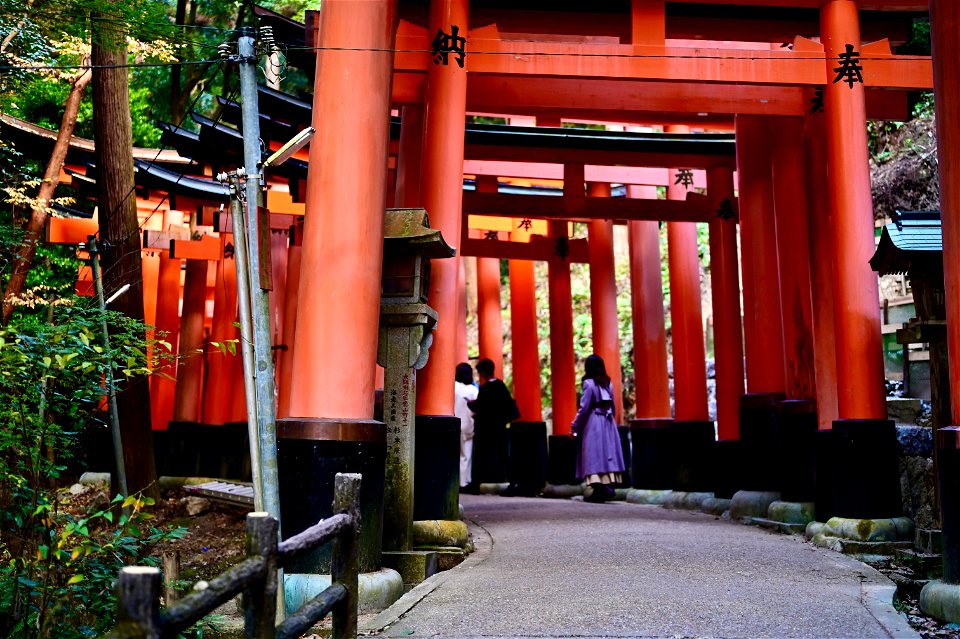 伏見稲荷/Fushimi Inari Shrine