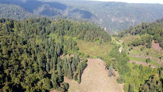 SEIARN_SEIF_DSIA_FERNANDO_VALDEZ_CALDERÓN_DJI_0470