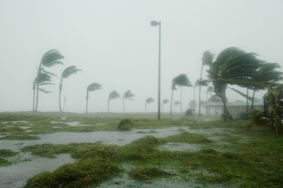 Tropical storm with a lot of rain
