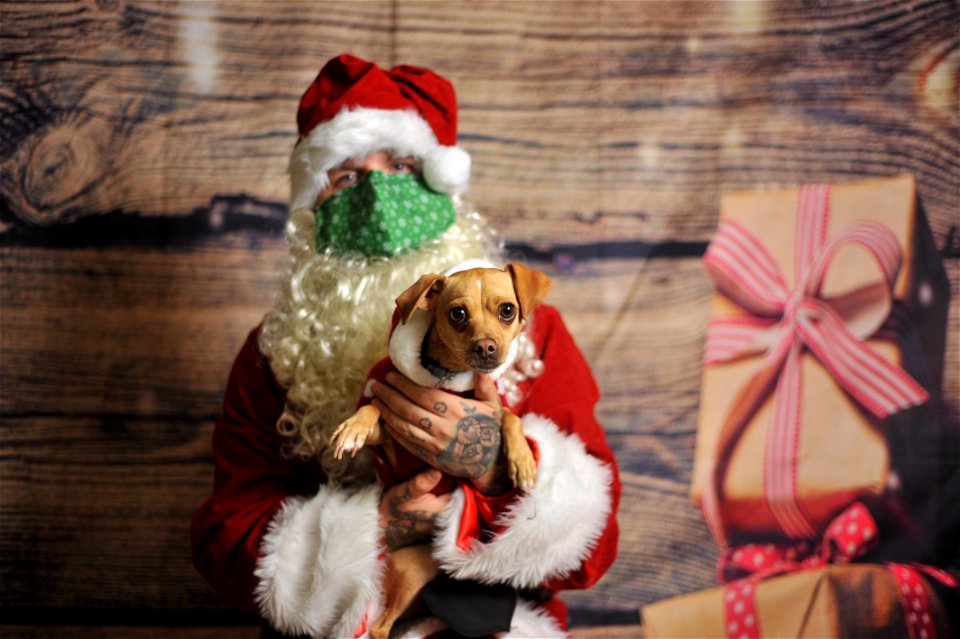 City of Elderly Love Claus for Paws Fundraiser