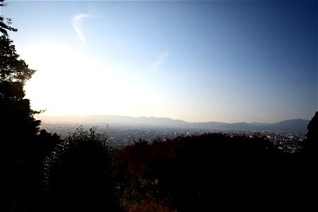 伏見稲荷/Fushimi Inari Shrine