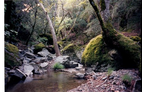 HAYES-BRIONES REGIONAL PART- NORTH-EASTERN END