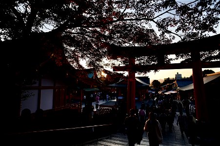 伏見稲荷/Fushimi Inari Shrine