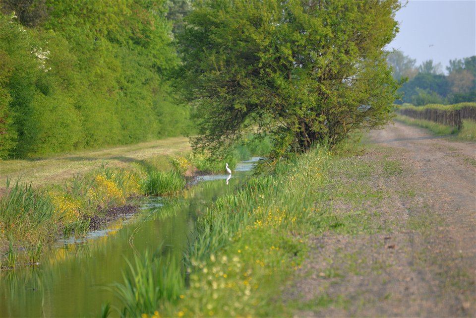 Animali, biodiversità, nella Tenuta Civranetta | Lorenzo Fidora azienda agricola