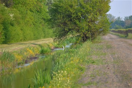 Animali, biodiversità, nella Tenuta Civranetta | Lorenzo Fidora azienda agricola