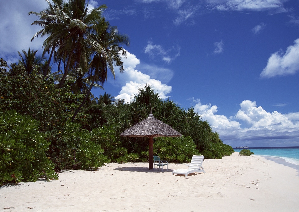 Beach Villas on small tropical island with palm trees