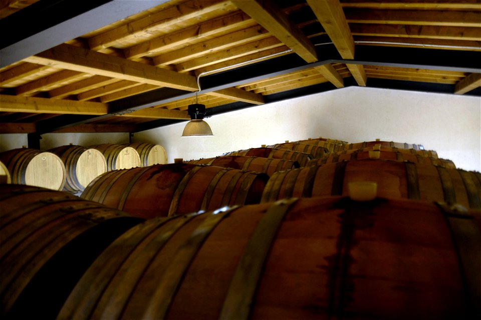 Le botti | Lorenzo Fidora