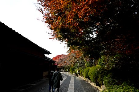 京都龍安寺/Kyoto Ryoanji