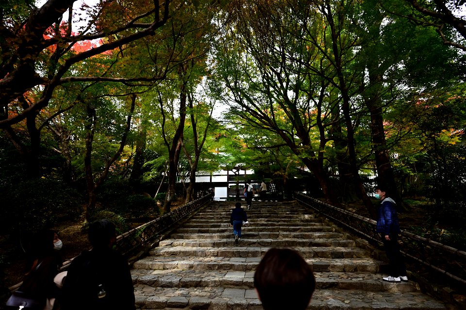 京都龍安寺/Kyoto Ryoanji