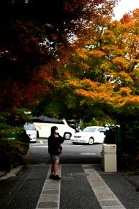 京都龍安寺/Kyoto Ryoanji
