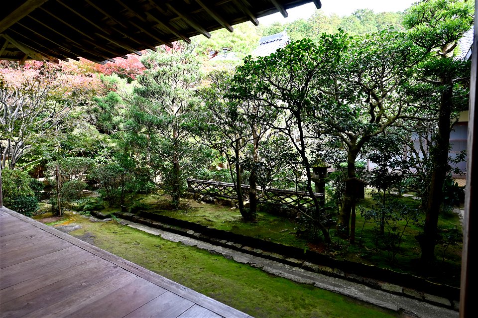 京都龍安寺/Kyoto Ryoanji
