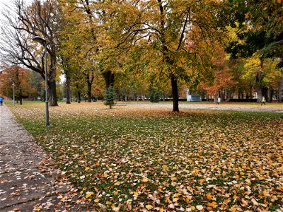 Autumn in Campus of University of Banja Luka, BiH (3)