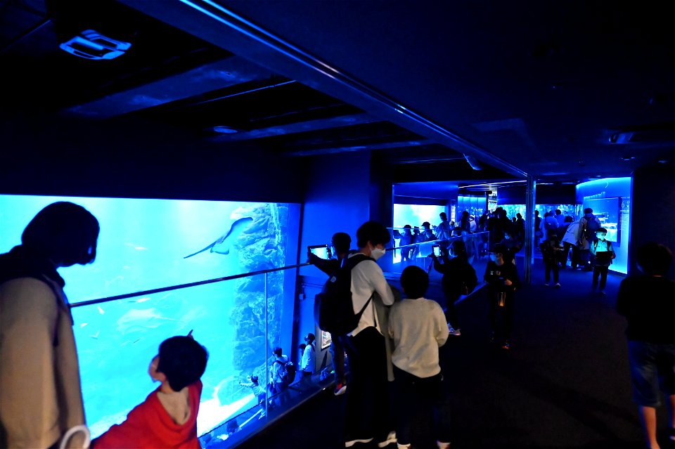 京都水族館 / Kyoto Aquarium
