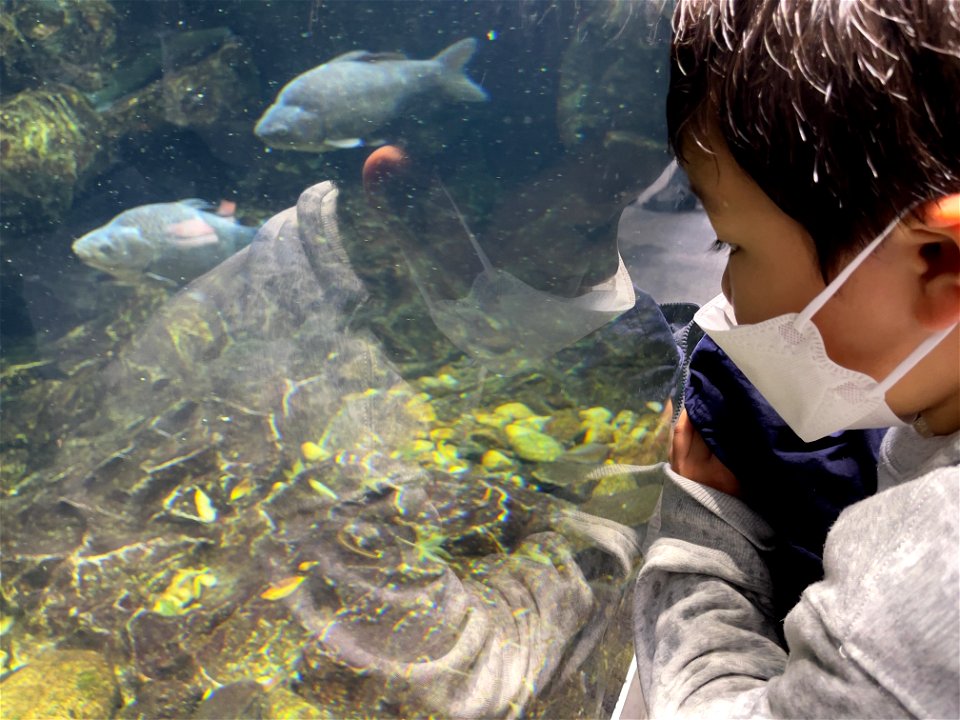 京都水族館 / Kyoto Aquarium